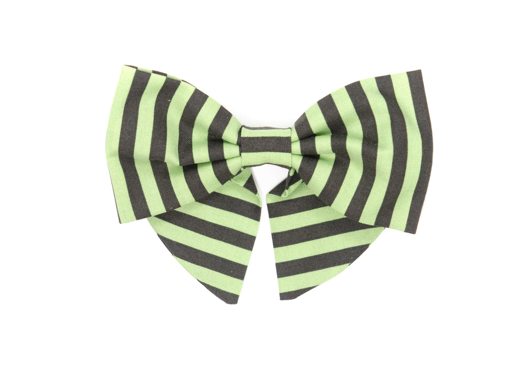 The Ridoc Lady Bow