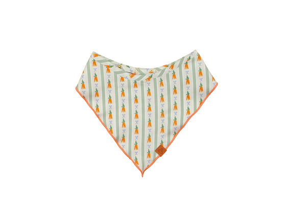 The Robin Bandana