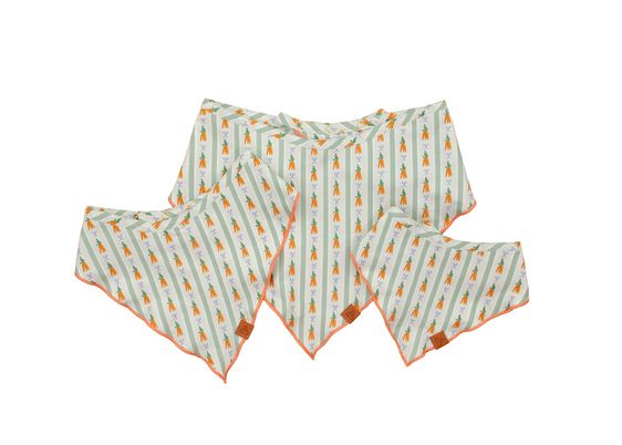 The Robin Bandana
