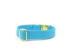 Signature Collar - Cerulean