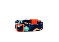 The Newton Collar
