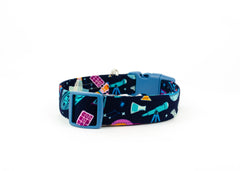 The Newton Collar