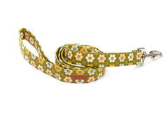 The Lucia Leash