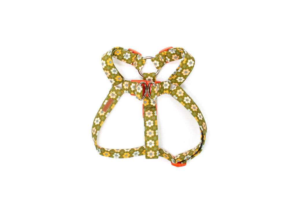 The Lucia Harness