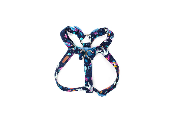 The Newton Harness