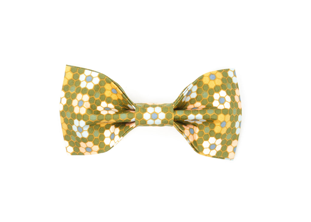 The Lucia Bowtie