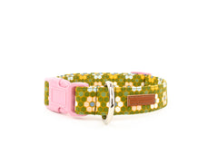 The Lucia Collar