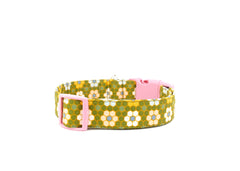 The Lucia Collar
