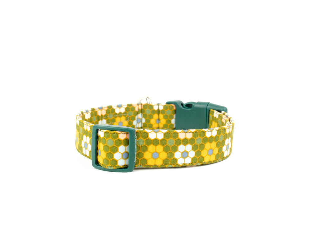 The Lucia Collar