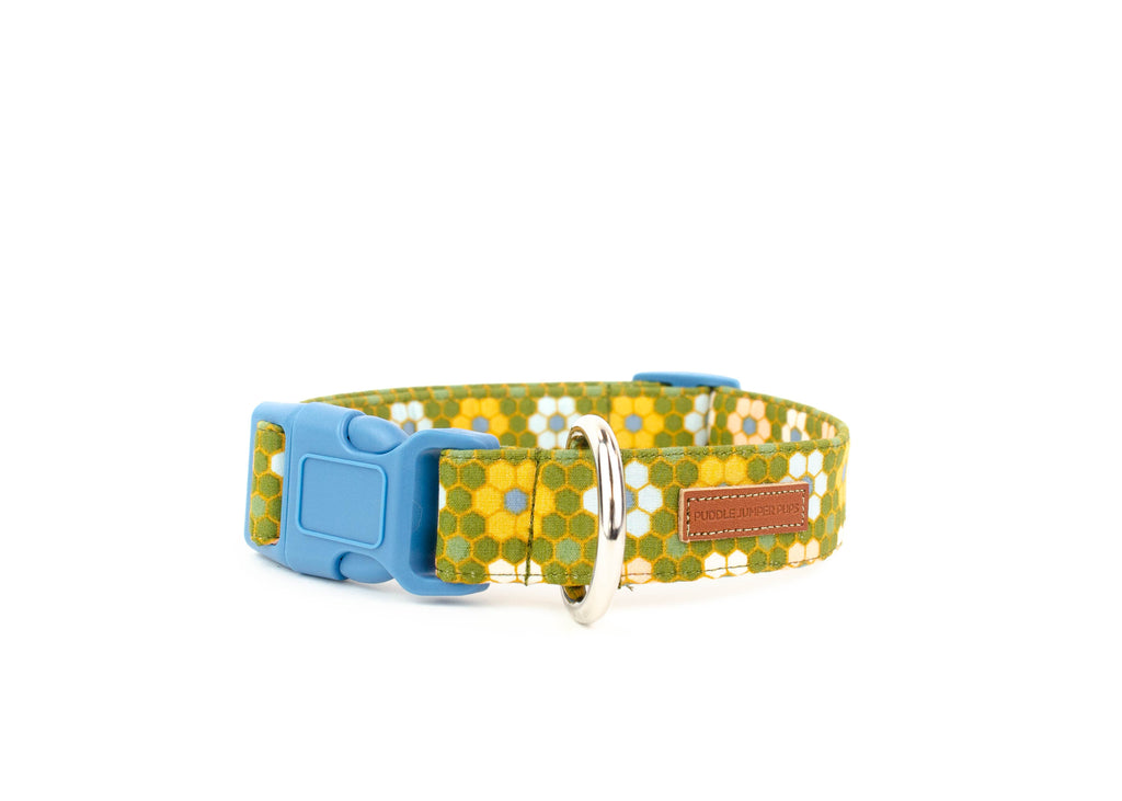 The Lucia Collar