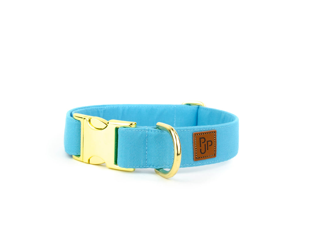 Signature Collar - Cerulean