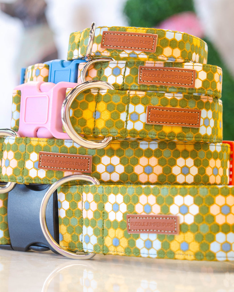 The Lucia Collar