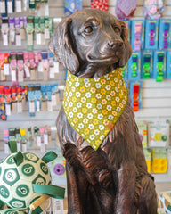 The Lucia Bandana