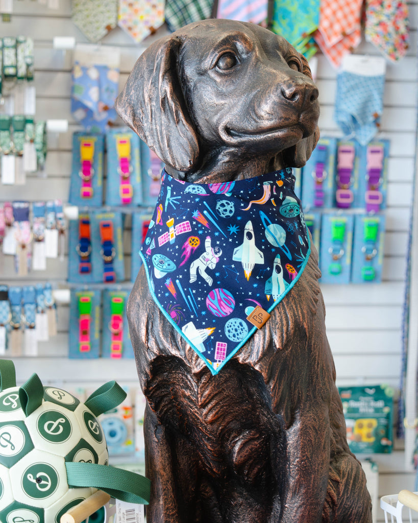 The Newton Bandana