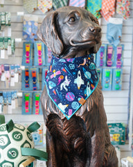 The Newton Bandana