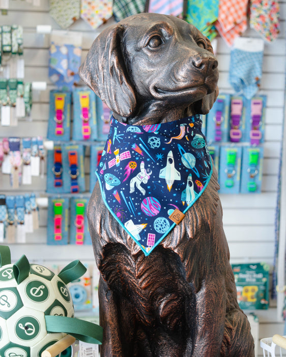 The Newton Bandana