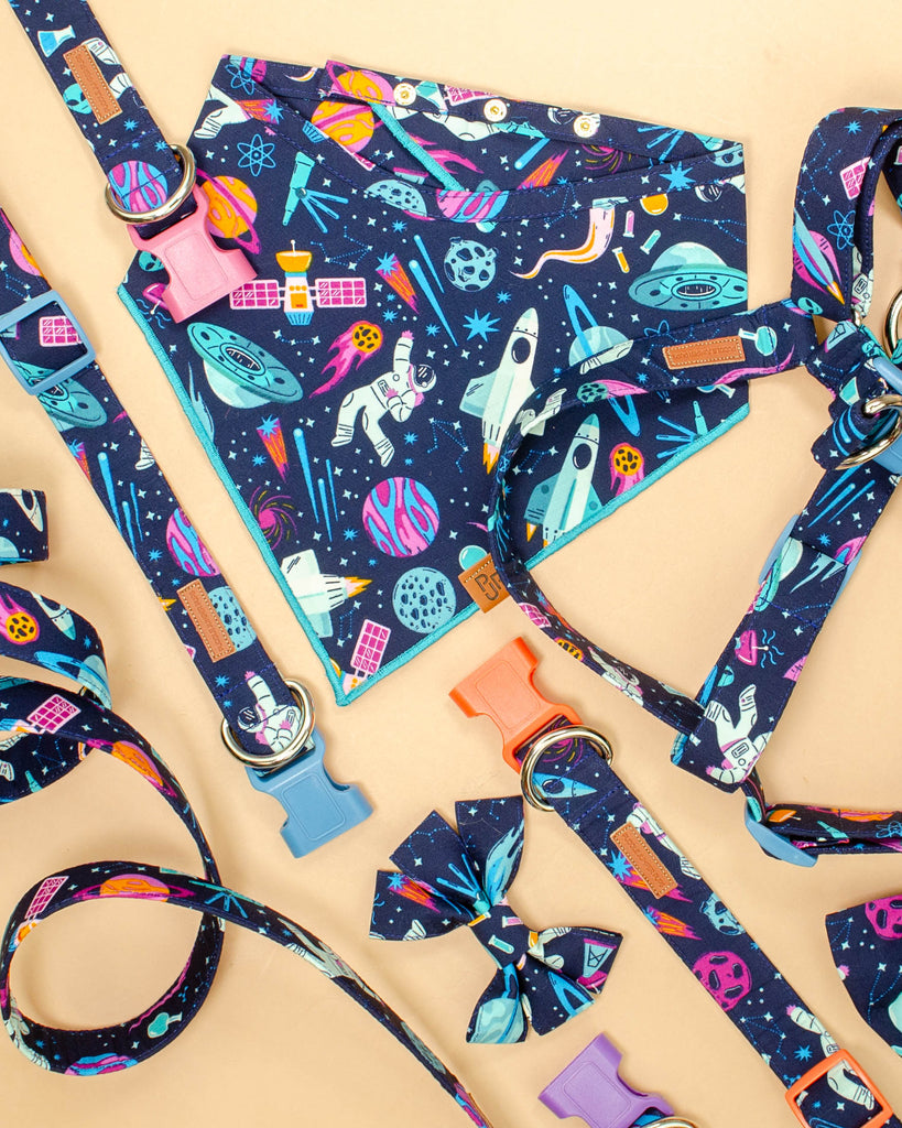 The Newton Girly Bow