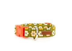 The Lucia Collar