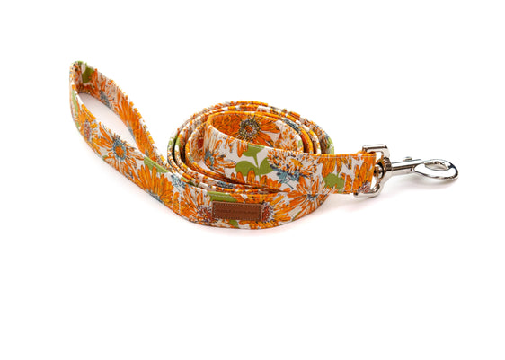 The Darla Leash