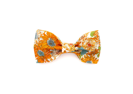 The Darla Bowtie