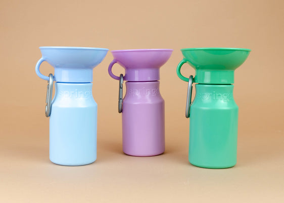 Mini Travel Water Bottle