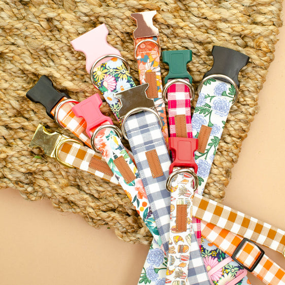 Dolly Bowtie