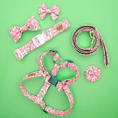 The Camellia Leash