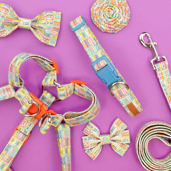 The Zack Bowtie