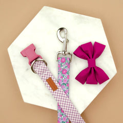 The Hale Bowtie