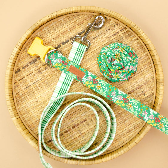 The Jameson Leash