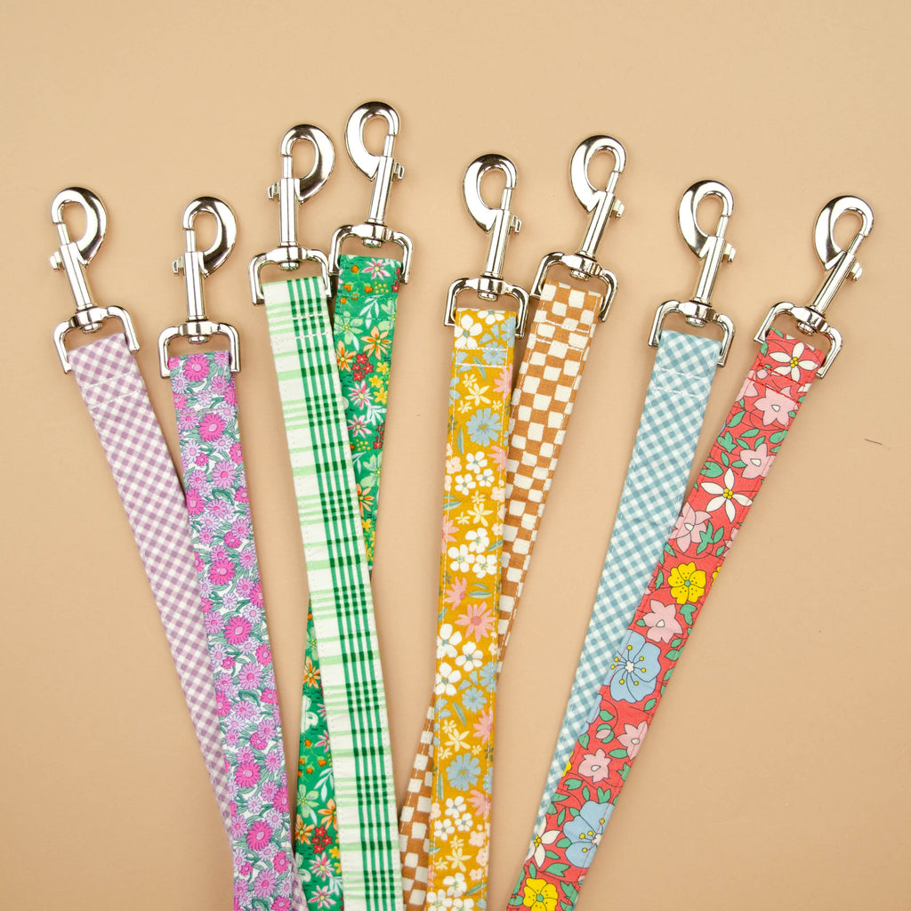The Melody Leash