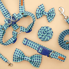The Harvey Leash