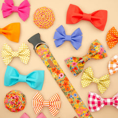 The Lucille Bowtie