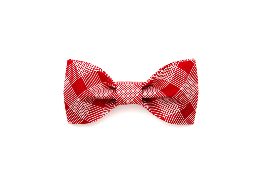 The Jared Bowtie