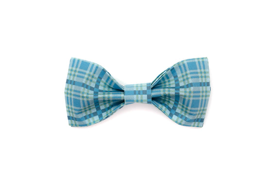 The Camden Bowtie