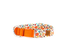 The October Martingale