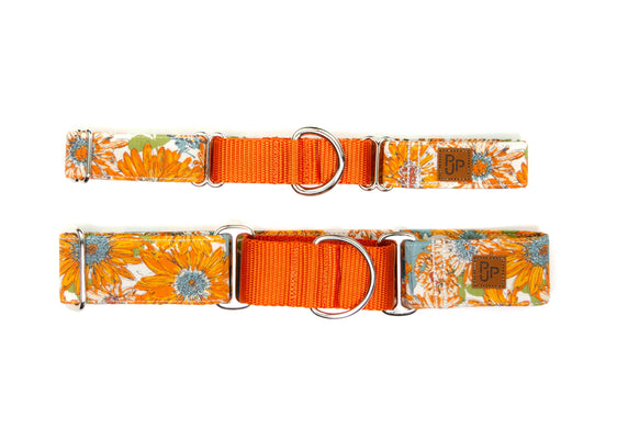 The Darla Martingale