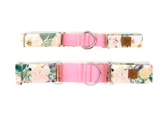The Polly Martingale