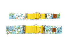 The Ingrid Martingale