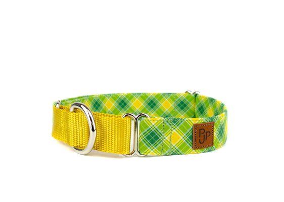 The Arnold Martingale