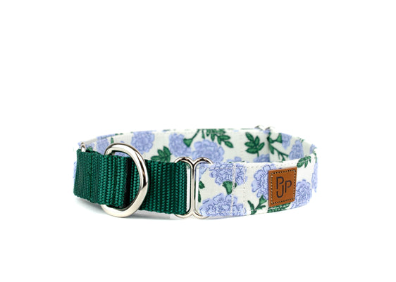 The Savannah Martingale