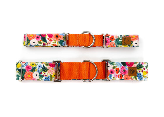 The Odelle Martingale