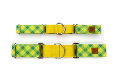 The Arnold Martingale