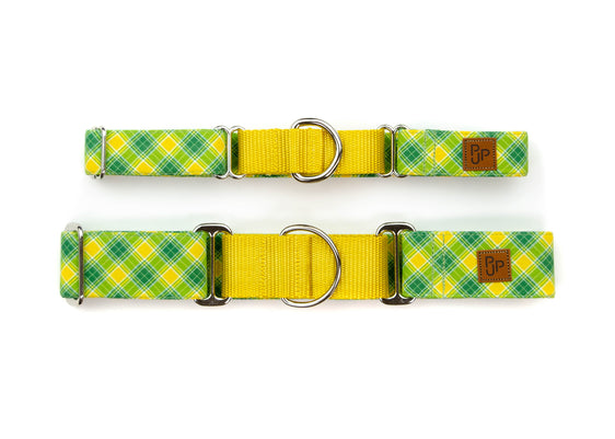 The Arnold Martingale
