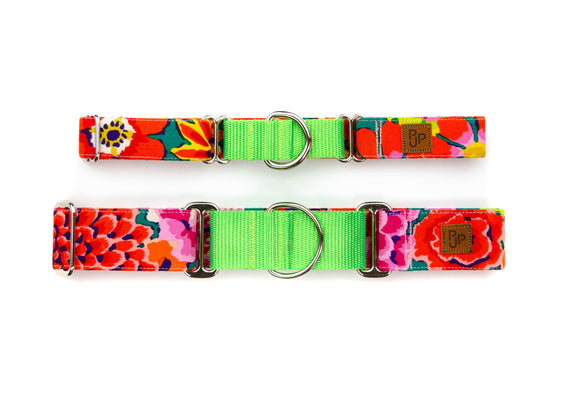 The Caroline Martingale