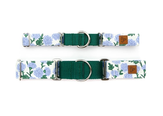 The Savannah Martingale