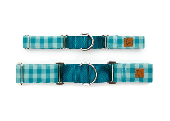 The Asher Martingale