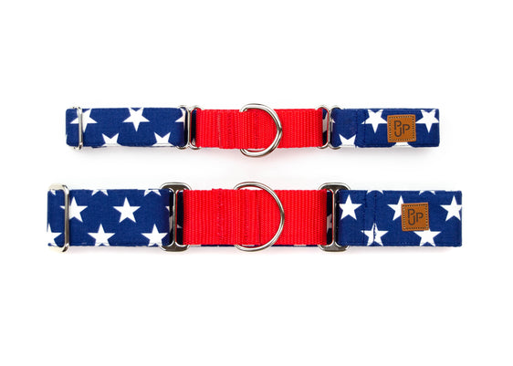 The Glory Martingale
