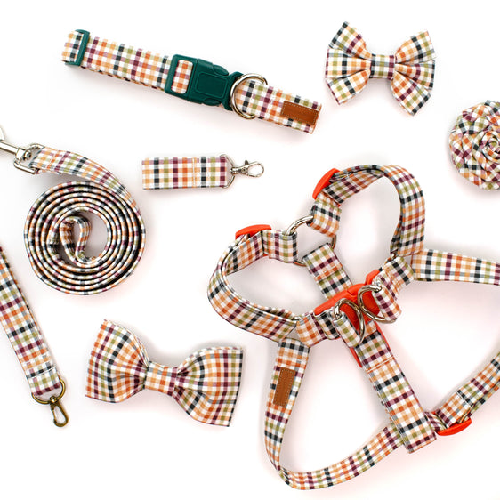 The Lennon Leash
