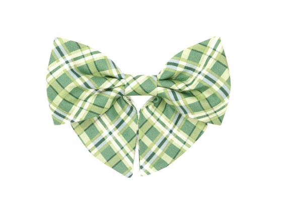 The Belmont Lady Bow